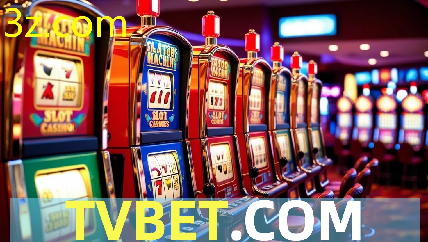 tvbet